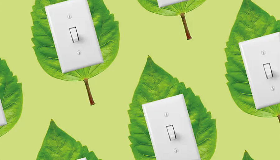 Plüm Energie 2024 Impact